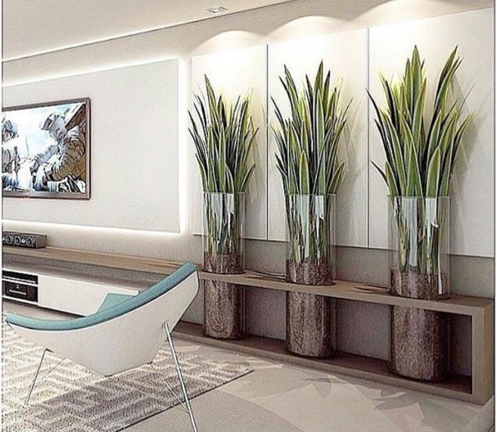 Best indoor plants interior design